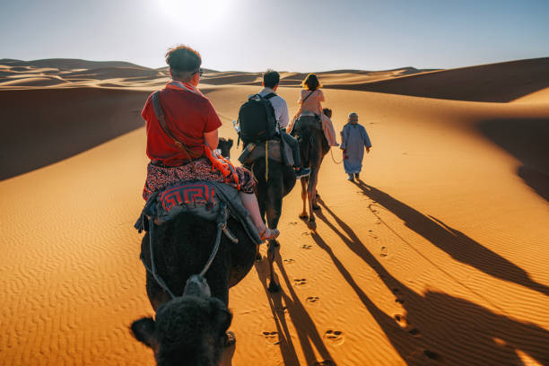 travel india desert tour